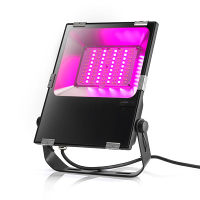 Black Glass Integrated LED Glass Flood Light