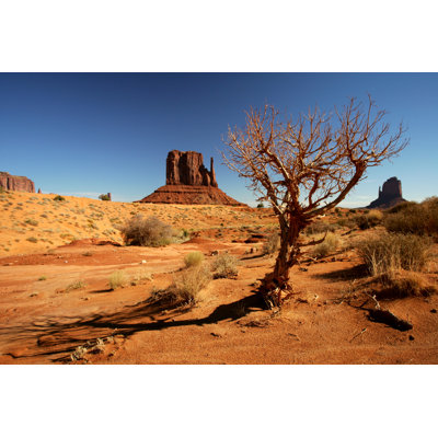 Duerr Monument Valley - Wrapped Canvas Print