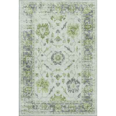 Premium Machine Washable Pirtle Border Rug
