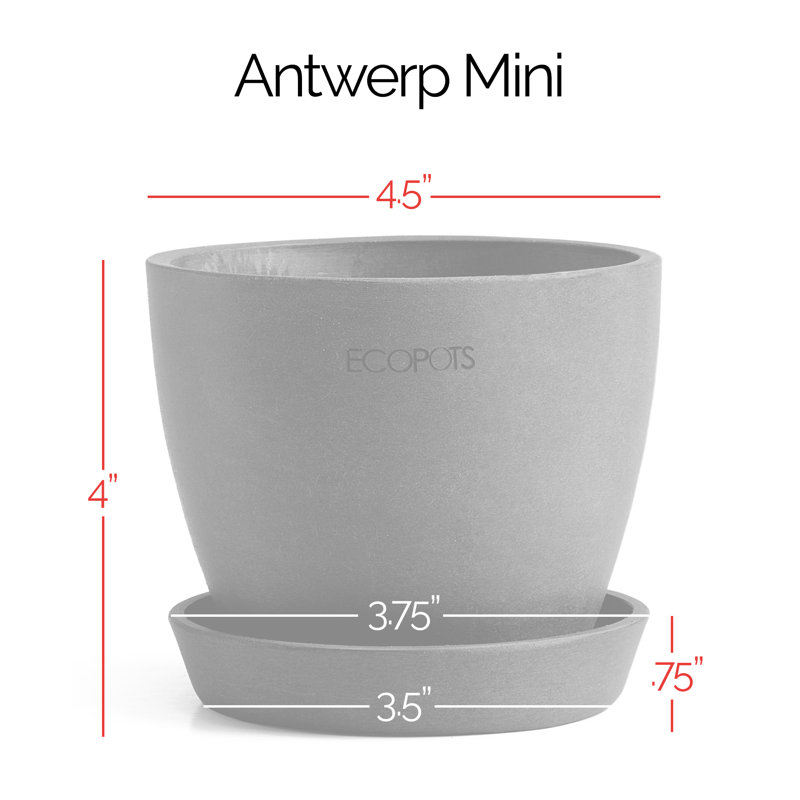 Pot Planter, Terracotta