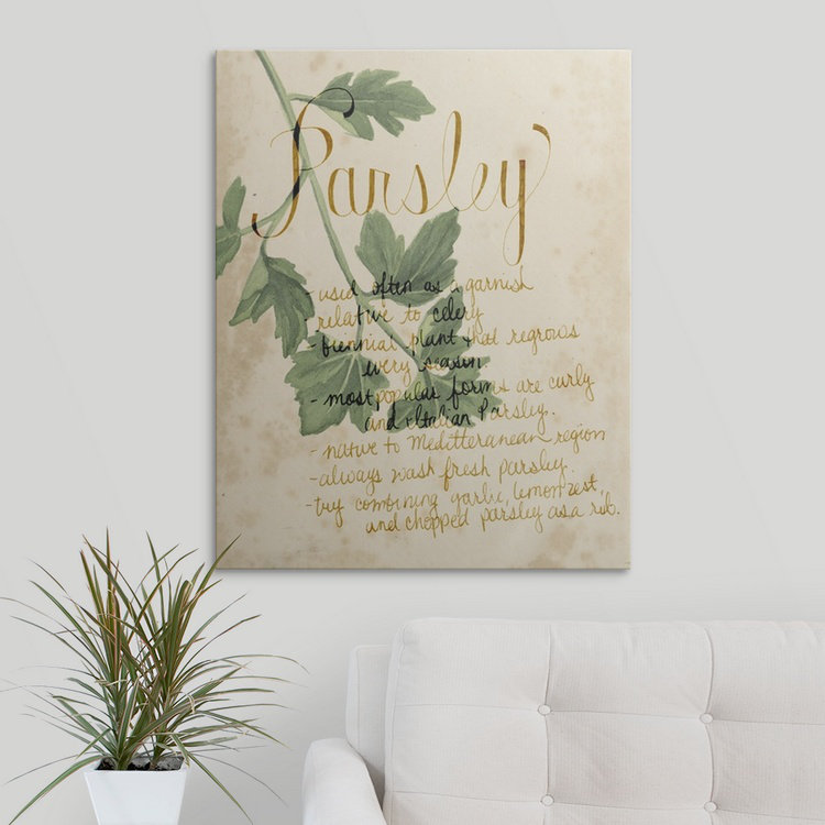 «Herb Study V» Grace Popp, reproduction d'art, H 10 po x l 8 po x P 1,5 po, Toile