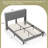 Nami Upholstered Platform Bed-2136667924