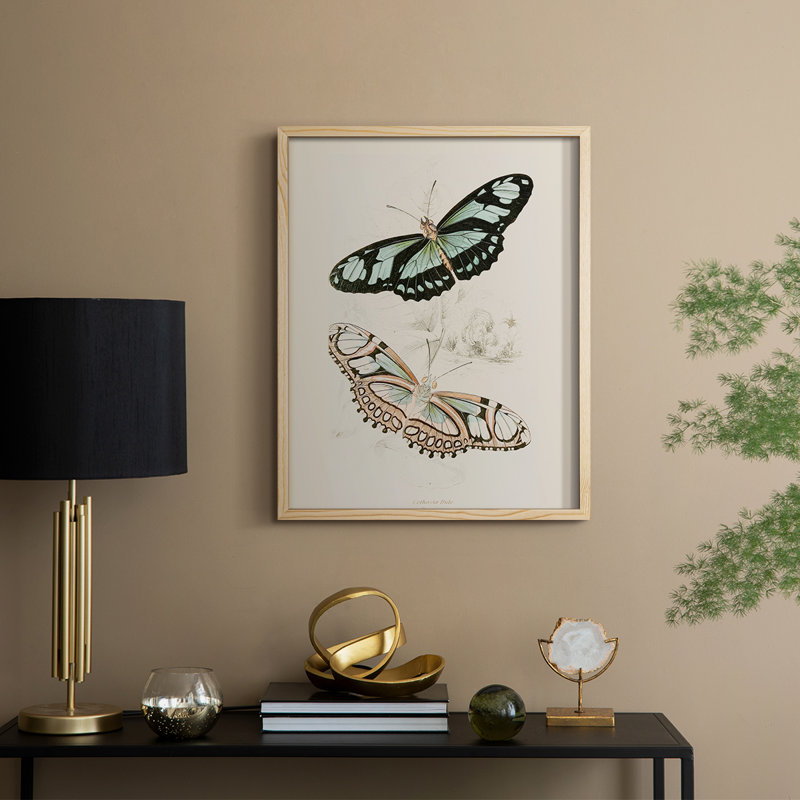 «Vintage Animal Print», reproduction encadrée en L - bois massif, Naturel, H 21 po x l 17 po