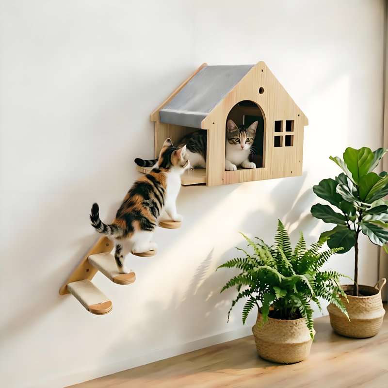 Cat Wall Climbing Stairs with House