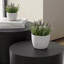 Ensemble de 2 tables basses gigognes, table basse ronde moderne avec pieds antidérapants, table d'appoint en bois pour salon, chambre à coucher, bureau, balcon, terrasse, petit espace, sans assemblage, noir mat