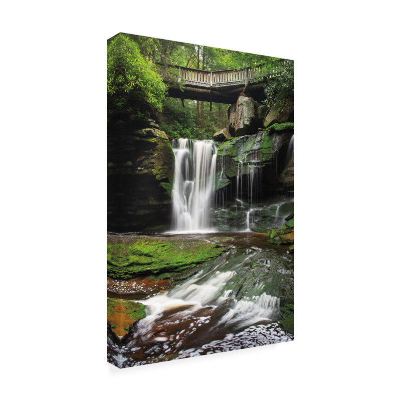 "Elakala Falls West I" par Alan Majchrowicz, reproduction de photo sur toile tendue, H 24 po x l 16 po x P 2 po