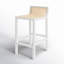 McCarthy Cane Bar & Counter Stool-1825297041-1778590056