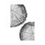 Wood Slice by Sisi & Seb - Wrapped Canvas Gallery-Wrapped Canvas Giclée-2078577226