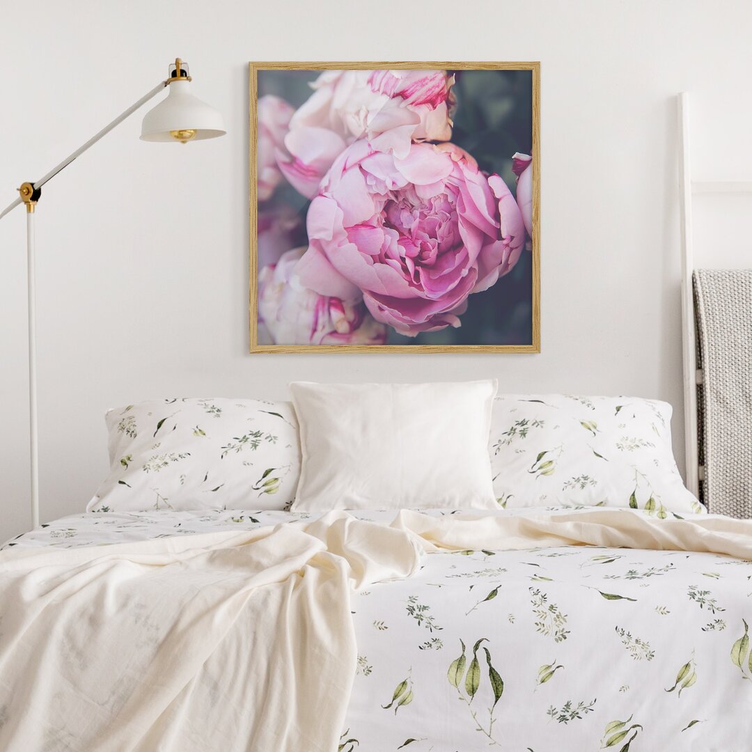 Gerahmter Fotodruck Peony Flower Shabby