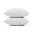 Dardel Velvet Scatter Cushion Cover-1607863409