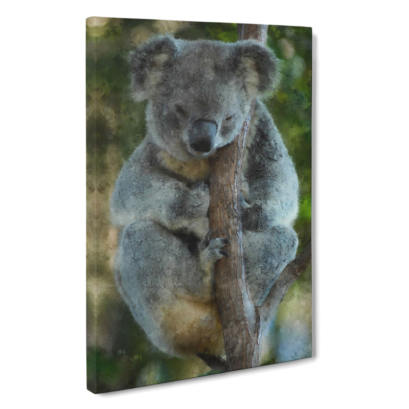 Koala Bear Vol.1 - Wrapped Canvas, 76cm H x 50cm W x 3cm D