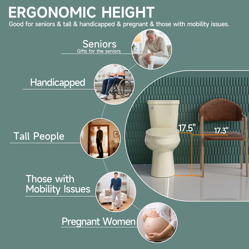 17" ADA Height Elongated Two Piece Tall Toilet for Seniors, 1.28 GPF Tornado Single Flush, MAP 1000g, Bone, Bone