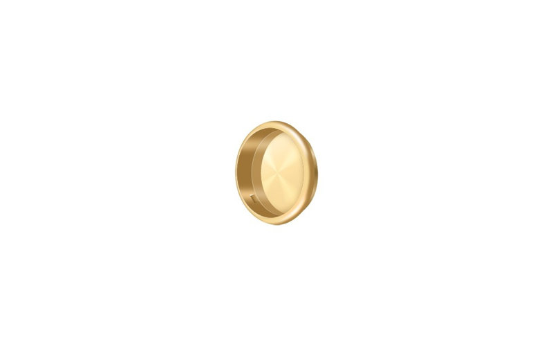 Brass Push/Pull Plate, PVD Polished Brass
