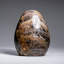 Genuine Polished Black Moonstone Freeform from Madagascar (3.2 Lbs)-1270292986-1270292987