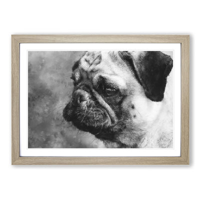 Pug Dog - Framed Print