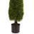 36'' Faux Cedar Topiary in Pot