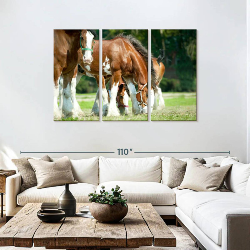 Chevaux Clydesdale, H 48 po x l 74 po