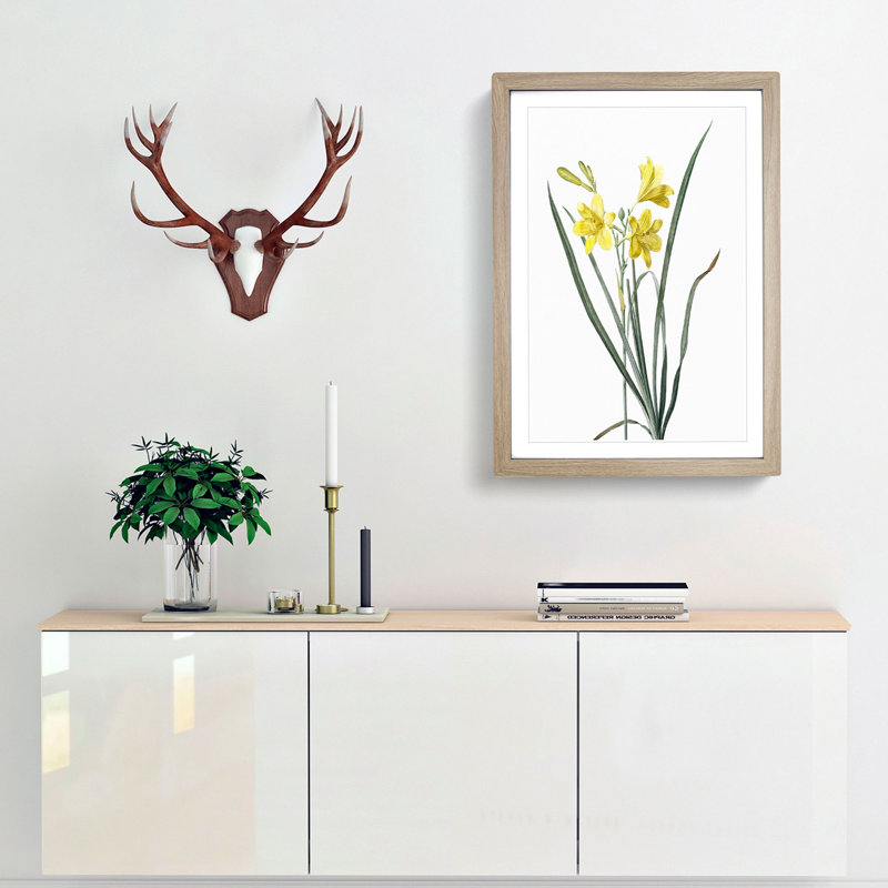 Yellow Daylily by Pierre-Joseph Redoute - Picture Frame Painting Print, 36cm H x 27cm W x 2cm D, Oak Framed