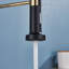 Belfry Kitchen Hockensmith Pull Out Kitchen Faucet