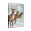 Animals Reindeer Pulling Sleigh In Snowy Winter Scene-575554269