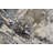 Romine Abstract Indoor Rug-814140273