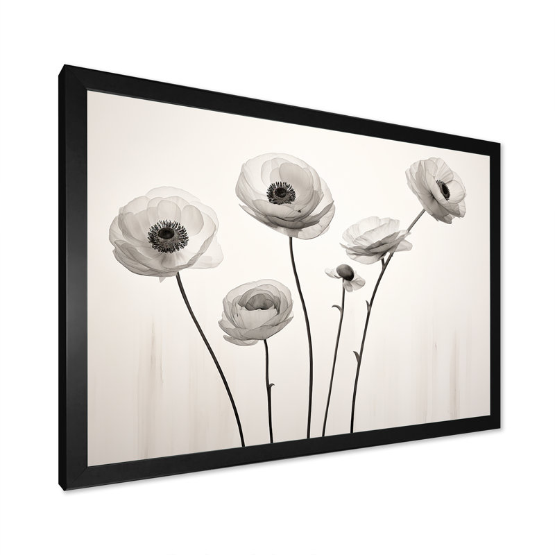 Ranunculus rétro rêves II, Cadre simple noir, H 30 po x l 40 po x P 1,5 po