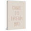 Big Dreams - Wrapped Canvas Painting-65656353