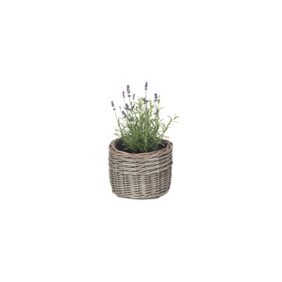 Lily Manor Wicker Planter Basket