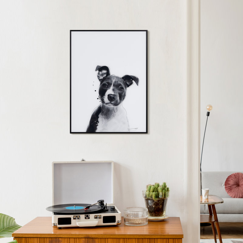 Pitbull - cadre photo, impression sur verre