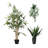 Multi-Size Bamboo Tree Faux Plant Combo  (Set of 3)