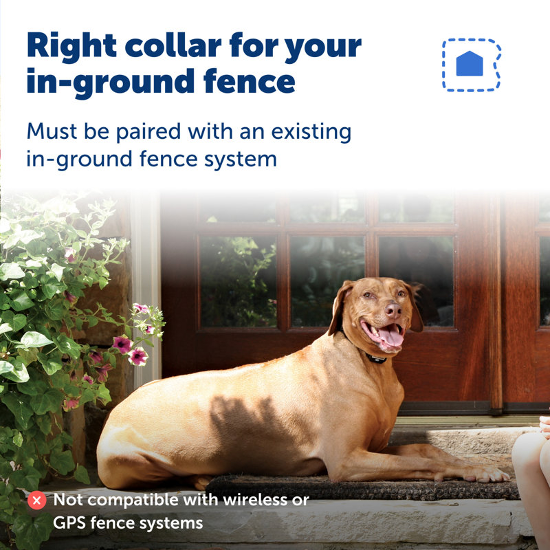 PetSafe Rechargeable In-Ground Fence Receiver Collar