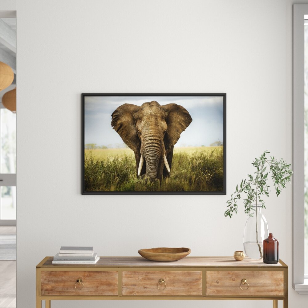 Gerahmtes Wandbild Imposanter Elefant