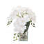Orchid Centerpiece in Pot