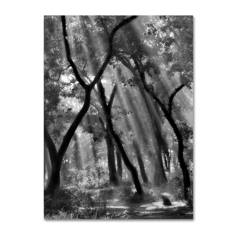 Enchanted Forest Black and White Canvas Art with Wooden Frame