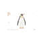 Pingouin - reproduction d'impression-52839040-52839041-52839044