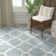 Eliana Hand Woven Performance Geometric Rug