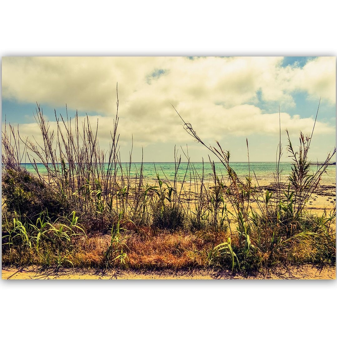 Leinwandbild Gras über dem blauen Meer