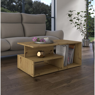 Cheston Floor Shelf Coffee Table with Storage