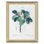Magnolias Giclee Print by Paul Cezanne