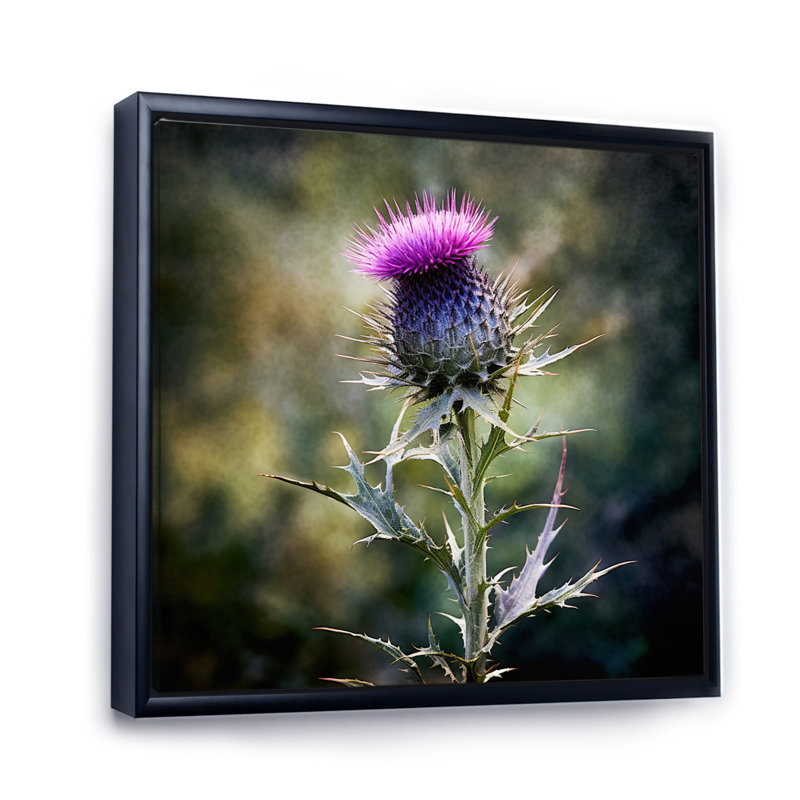 Mauve, vert, chardon, chuchotement, plante, V, H 24 po x l 24 po x P 1 po, Cadre flottant noir