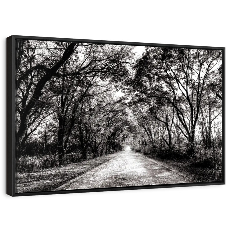 Chemin forestier BW, 46 po x 31 po, Cadre flottant noir