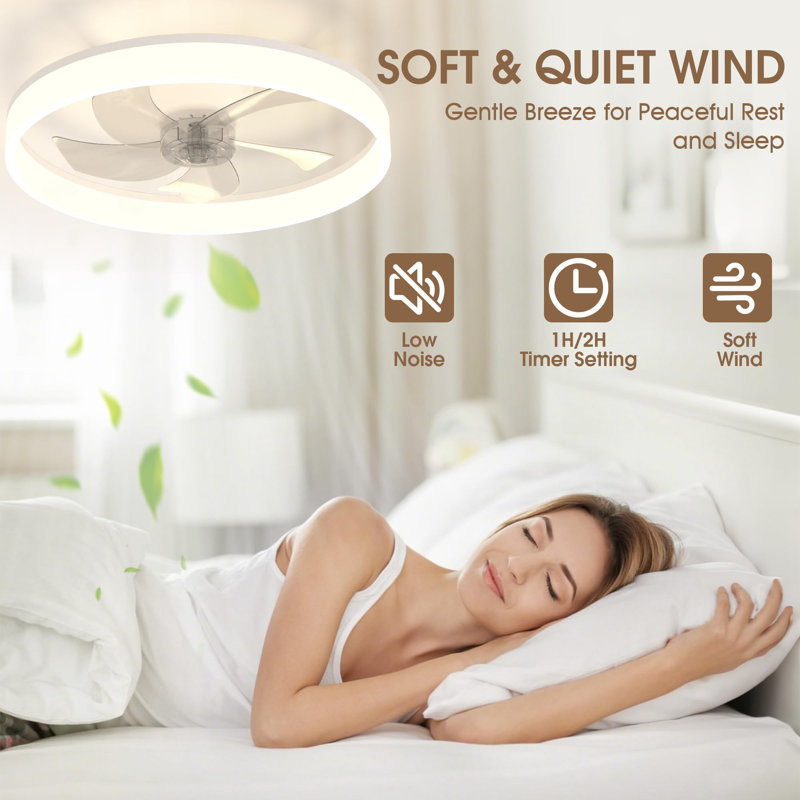 Ceiling Fan with LED Lights