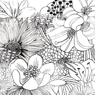 Contemporary Garden II Black And White by Michael Mullan - Wrapped Canvas Print