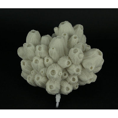 Coastal white tube coral resin accent lamp with warm glow and type A bulb, 8 inches high