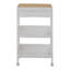 40cm W Plastic Storage Rack with Wheels