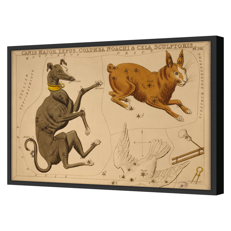 Canis Major Print by Grand Archives, 22" H x 31" W, Black Framed