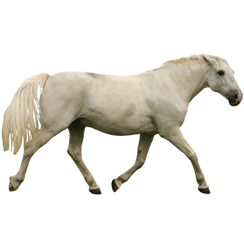 Adhésif décoratif blanc Mustang, H 21 po x l 36 po