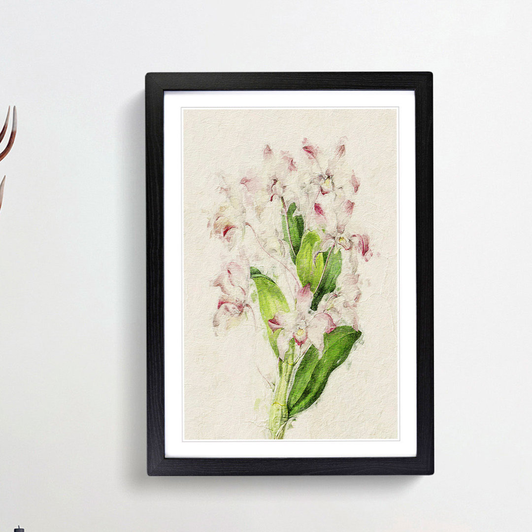Illustration of Pink Dendrobium Orchids - Picture Frame Painting Print