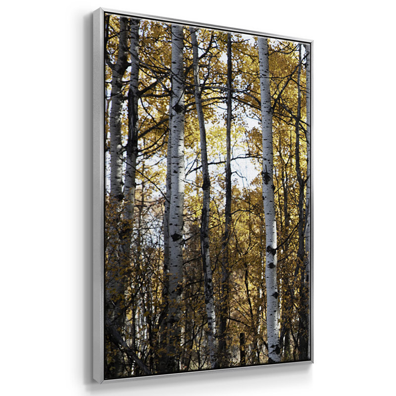 Sunny Grove - Toile encadrée multi-pièces, Argent, H 40 po x l 78 po x P 2 po