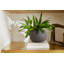 Perennial Handcrafted Ceramic Table Vase-1447478866